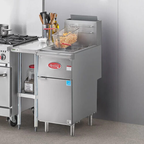 Stainless Steel Fryer